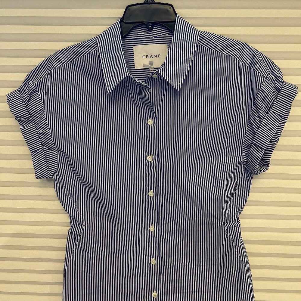 Blue and white striped Frame blouse